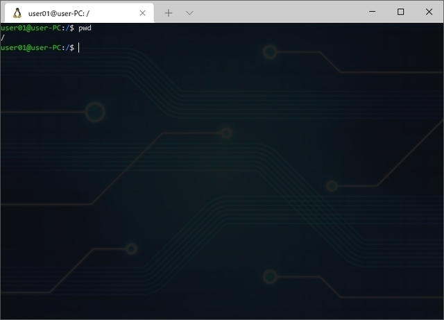 wsl_sd000-thumbnail2.JPG
